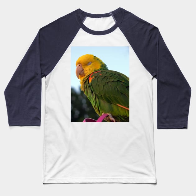 MACAW Baseball T-Shirt by likbatonboot